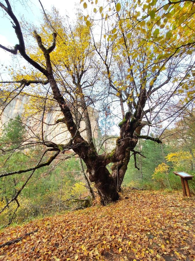 Alojamientos Rurales La Hoz Бетета Экстерьер фото